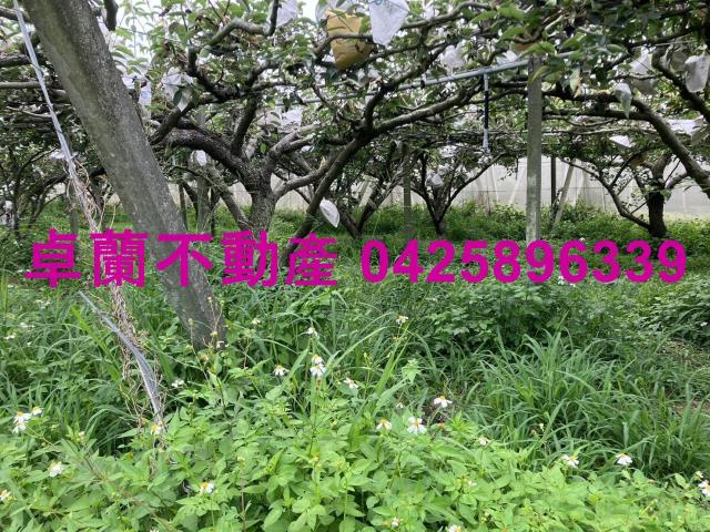 苗栗卓蘭農地-2