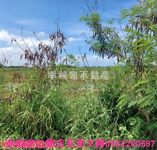 台南農地-1