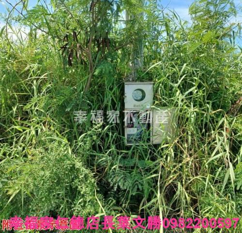 台南農地-9