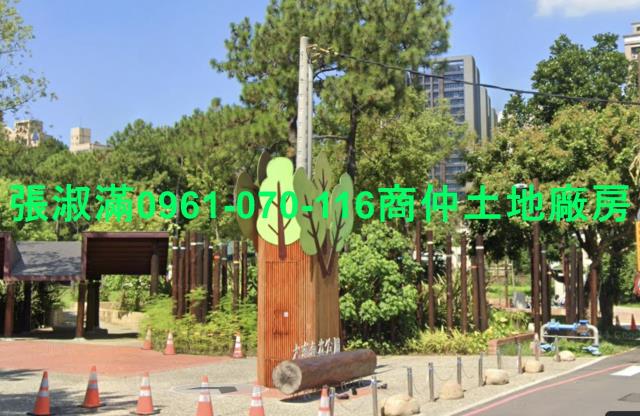 桃園建地-1