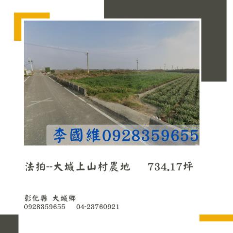 彰化大城法拍農地-1