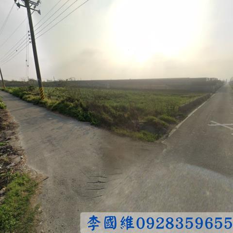 彰化大城法拍農地-2