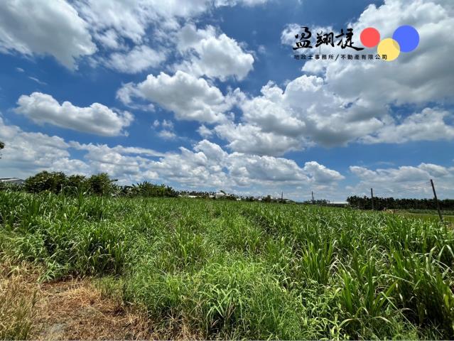屏東屏東市農地-2