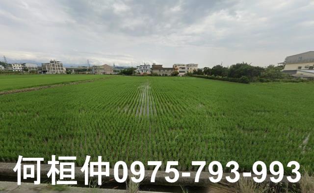 頭份農地-1