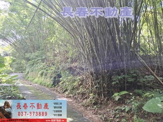 苗栗農地-10