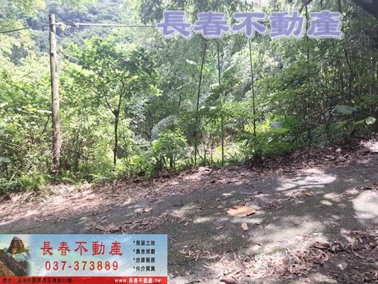 苗栗農地-1