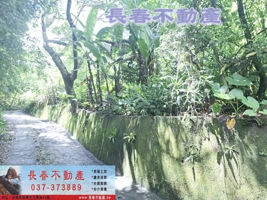 苗栗農地-4