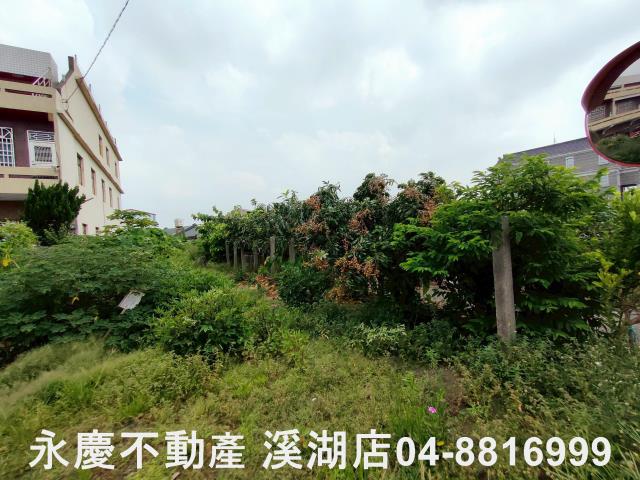 彰化農地-4