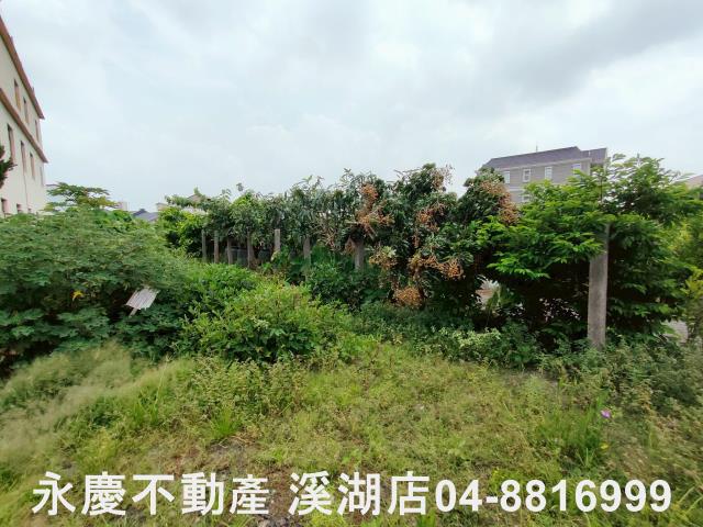 彰化農地-6