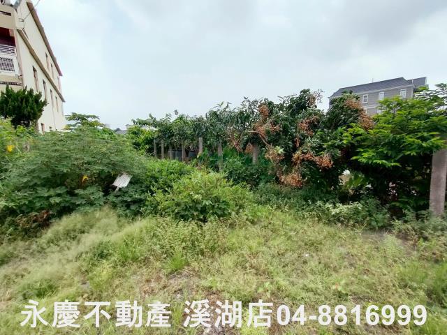 彰化農地-8