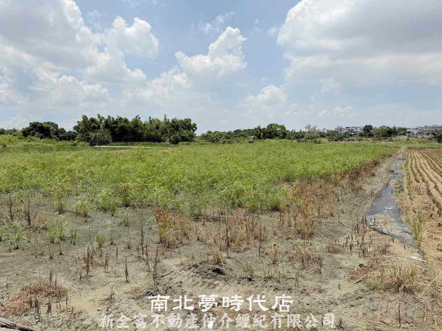 台南農地-1