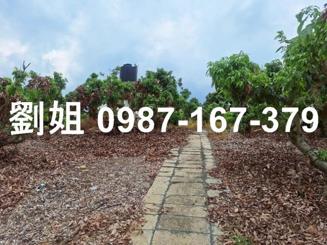 高雄大樹農地-1