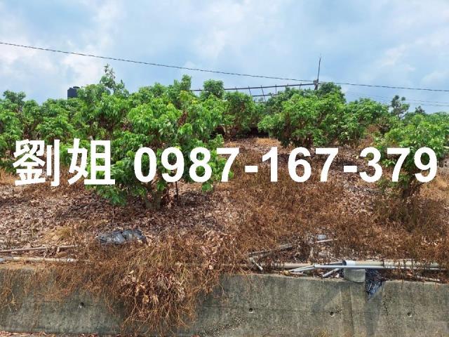 高雄大樹農地-2
