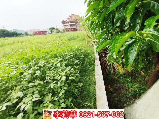 高雄仁武農地-7