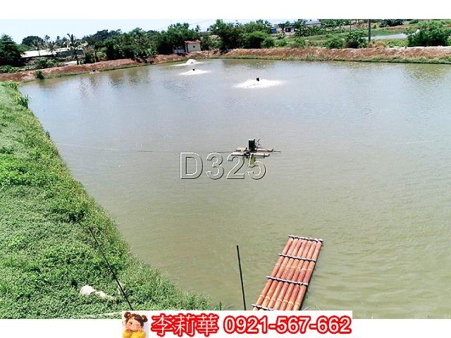 台南鹽水農地-13