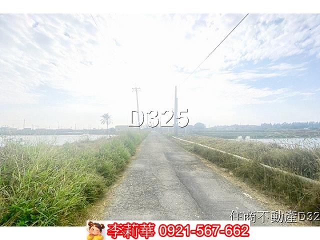 台南鹽水農地-5