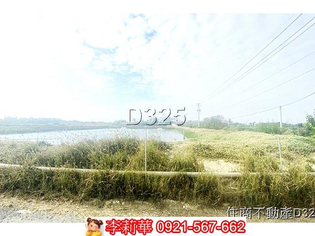 台南鹽水農地-8