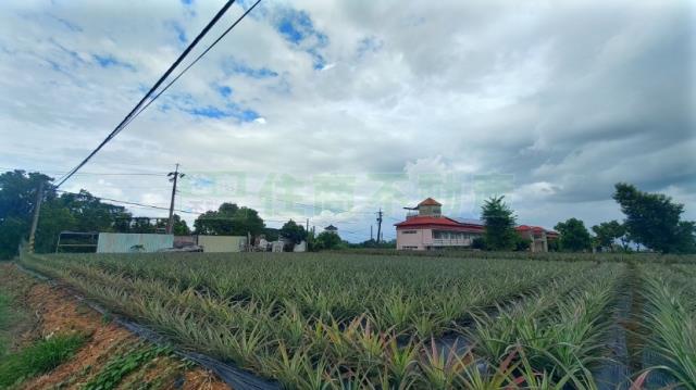 高雄大樹農地-1