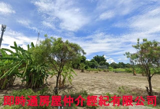 燕巢農地-1