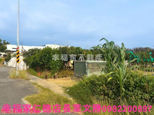 台南農地-8