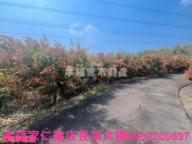 台南官田農地-11