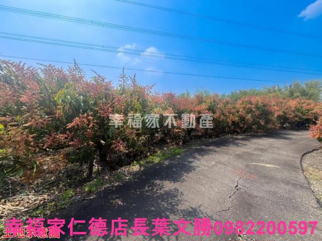 台南官田農地-8