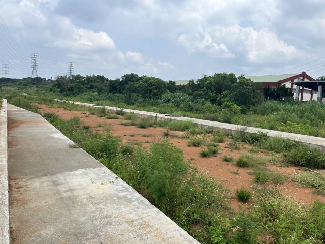 新竹關西農地-2