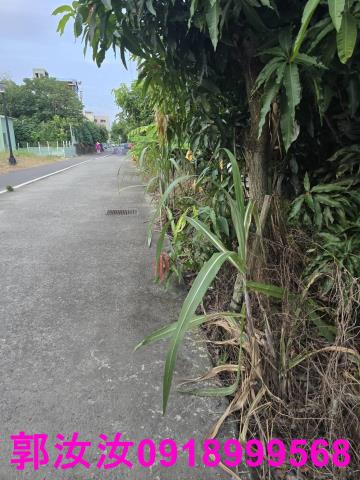 台南歸仁農地-4