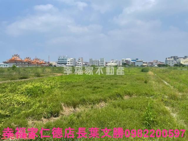台南仁德農地-13