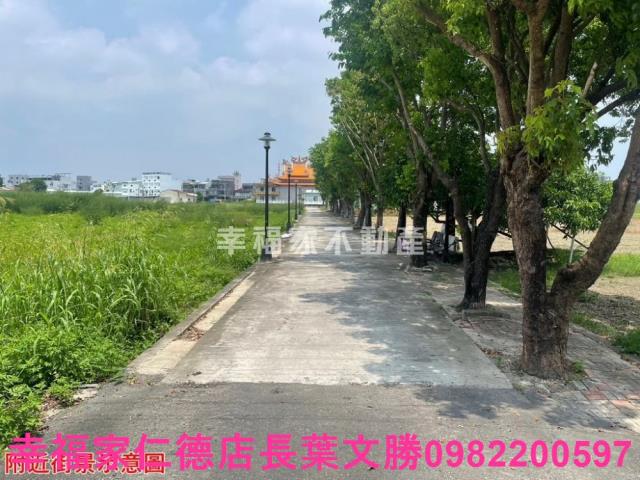 台南仁德農地-1