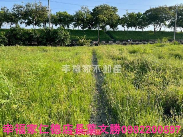 台南仁德農地-2