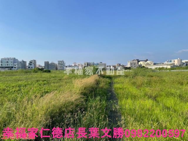 台南仁德農地-6
