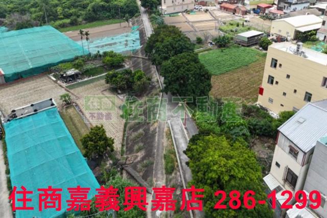 嘉義新港農地-2