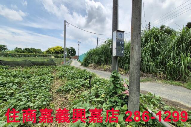 嘉義新港農地-6