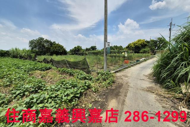 嘉義新港農地-8
