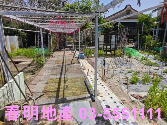 北區農地-7