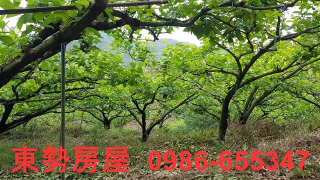 台中農地-1
