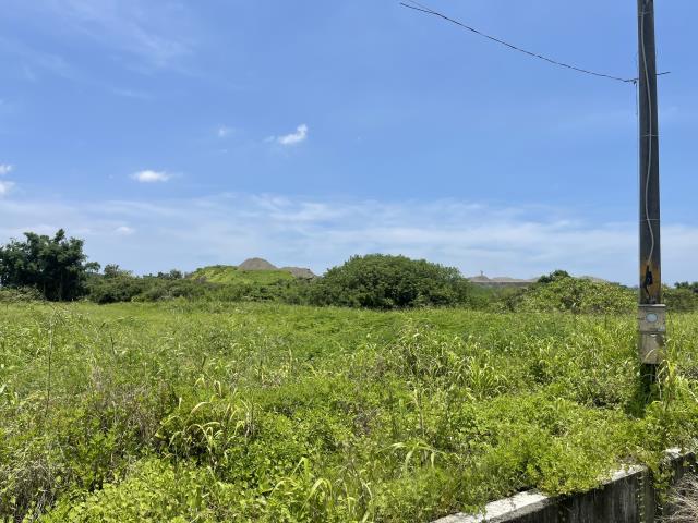 高雄農地-3