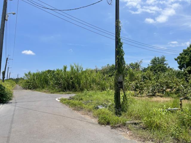 高雄農地-6
