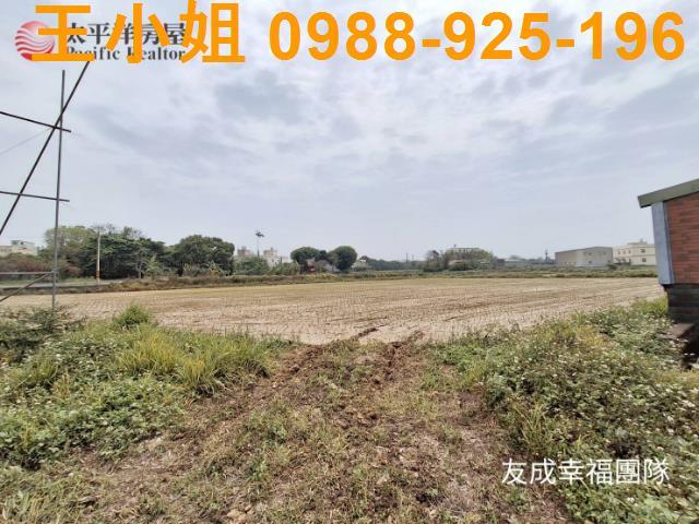 桃園觀音農地-7