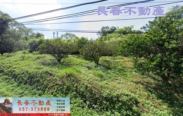苗栗大湖農地-1