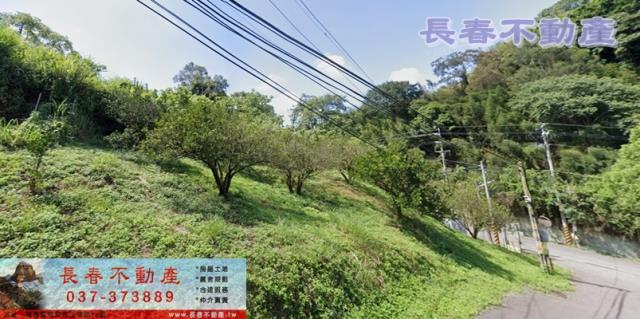 苗栗大湖農地-5