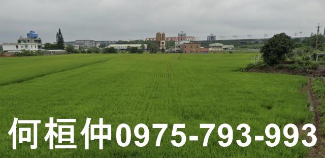苗栗後龍農地-2