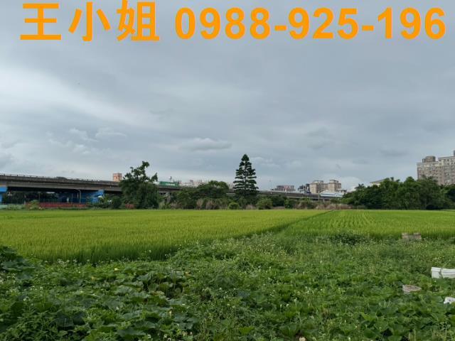 桃園桃園區農地-1