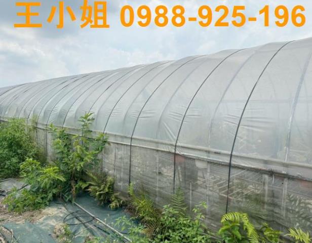 桃園八德農地-1