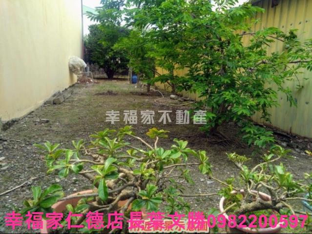 新市建地-1