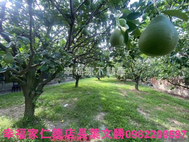 麻豆農地-8