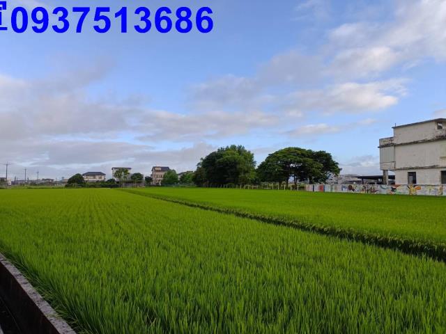 宜蘭市農地-13
