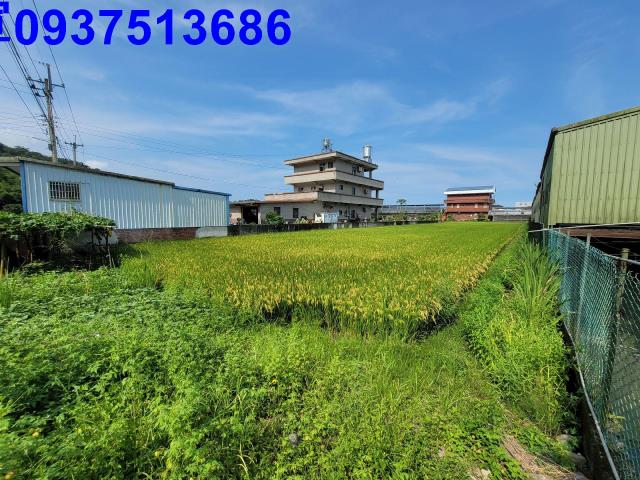礁溪農地-8