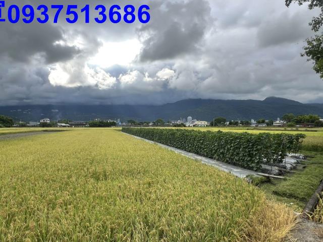 宜蘭農地-12